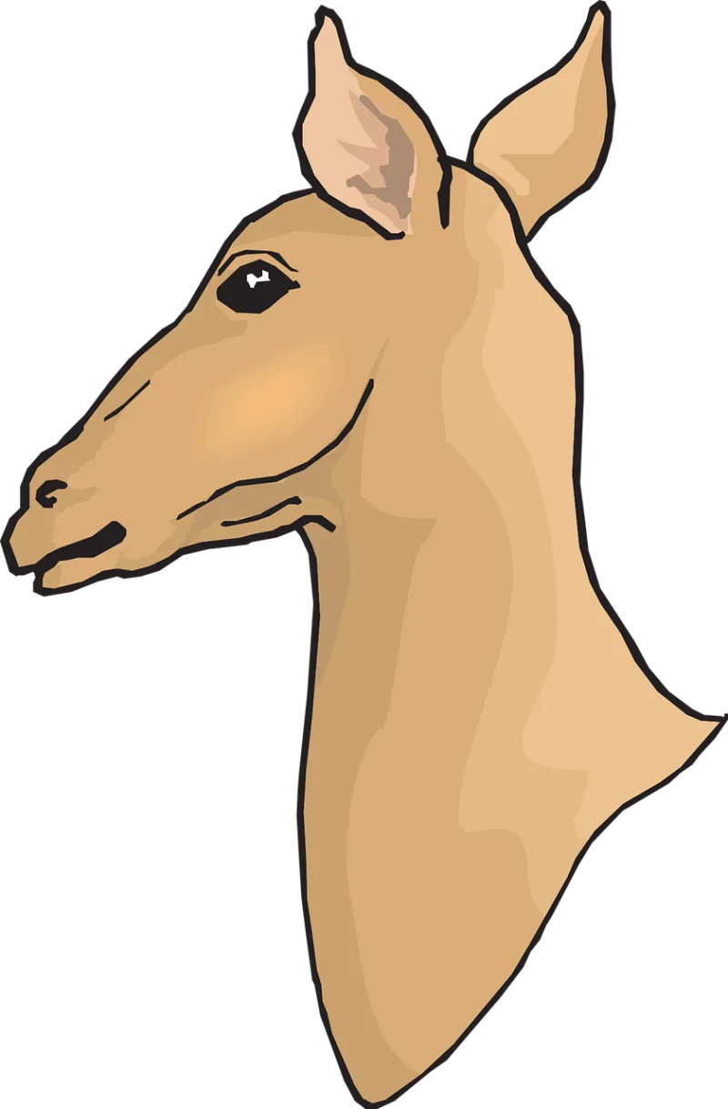 Head Nature Deer Stickdatei – Tiere
