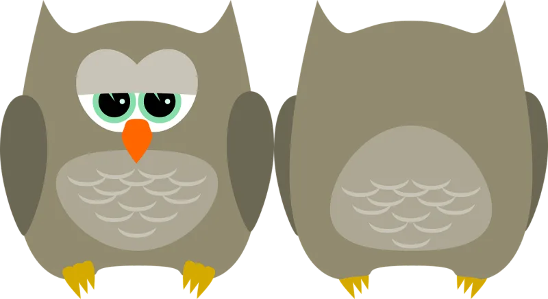 Owl Bird Cute Stickdatei – Tiere