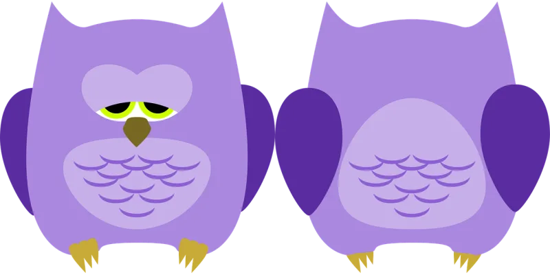Owl Bird Animal Stickdatei – Tiere