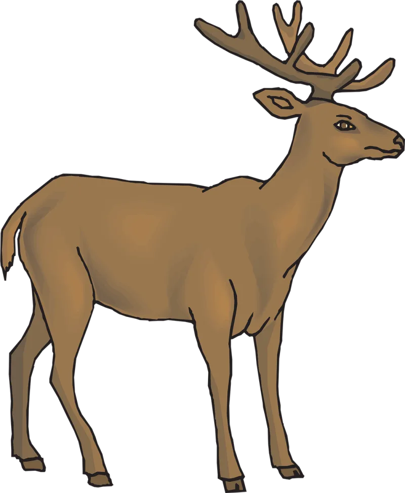 Brown Deer View Stickdatei – Tiere