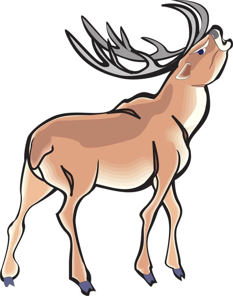 Angry Deer Nature Stickdatei – Tiere