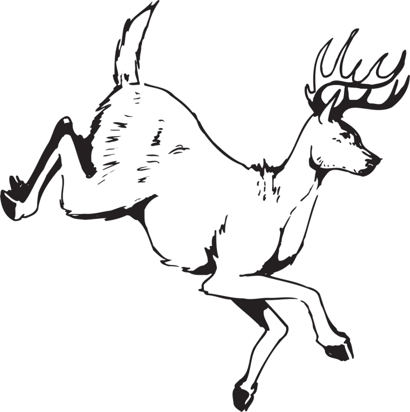 Deer Jumping Animal Stickdatei – Tiere