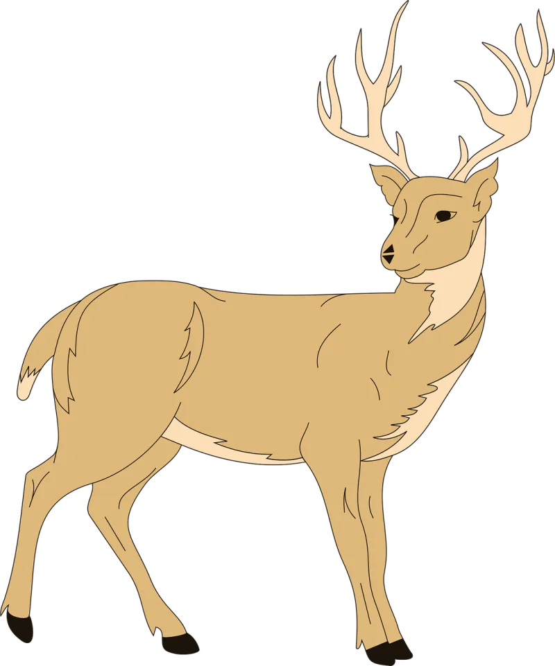 Deer Forest Nature Stickdatei – Tiere