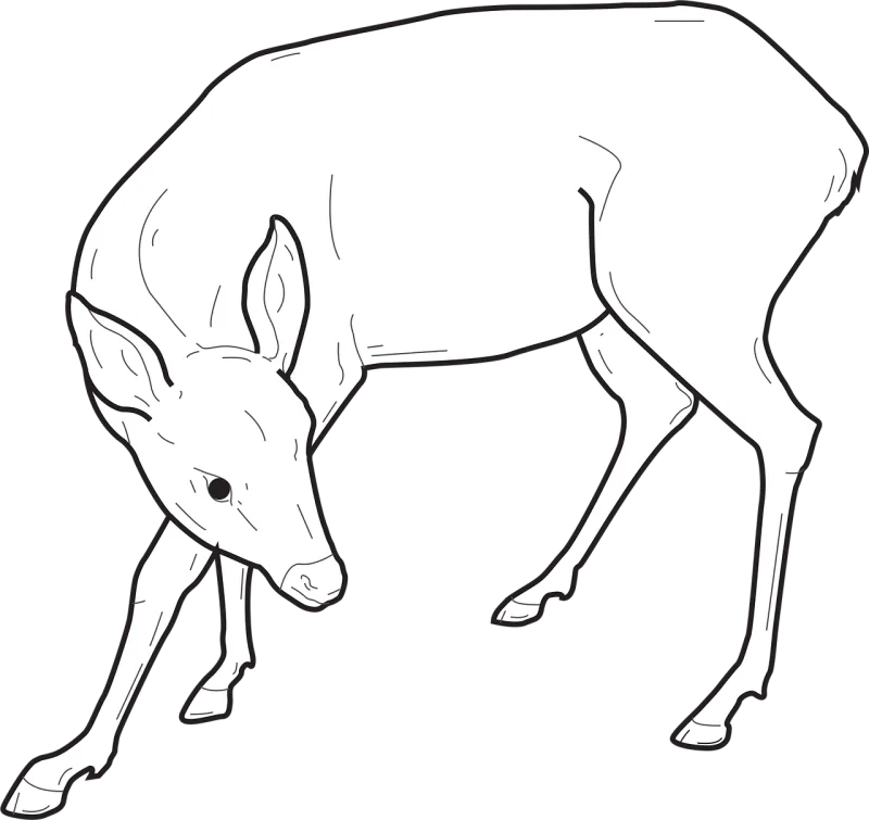 Back Nature View Stickdatei – Tiere