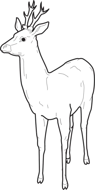 Deer Forest Standing Stickdatei