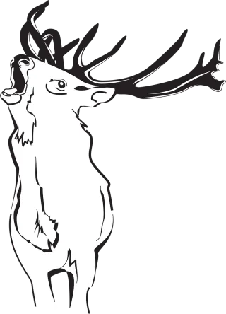 Deer Nature Forest Stickdatei