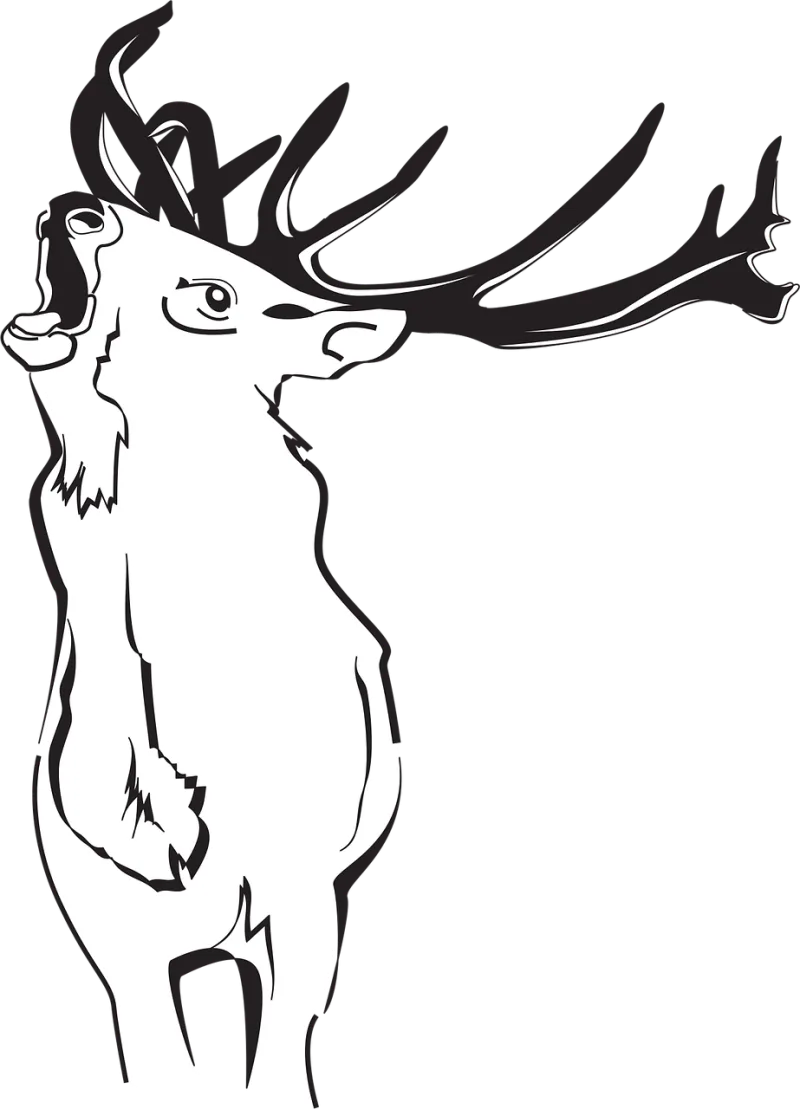 Deer Nature Forest Stickdatei – Tiere