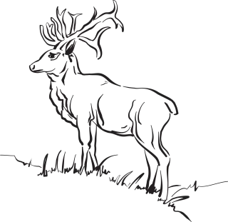 Deer Grass Nature Stickdatei