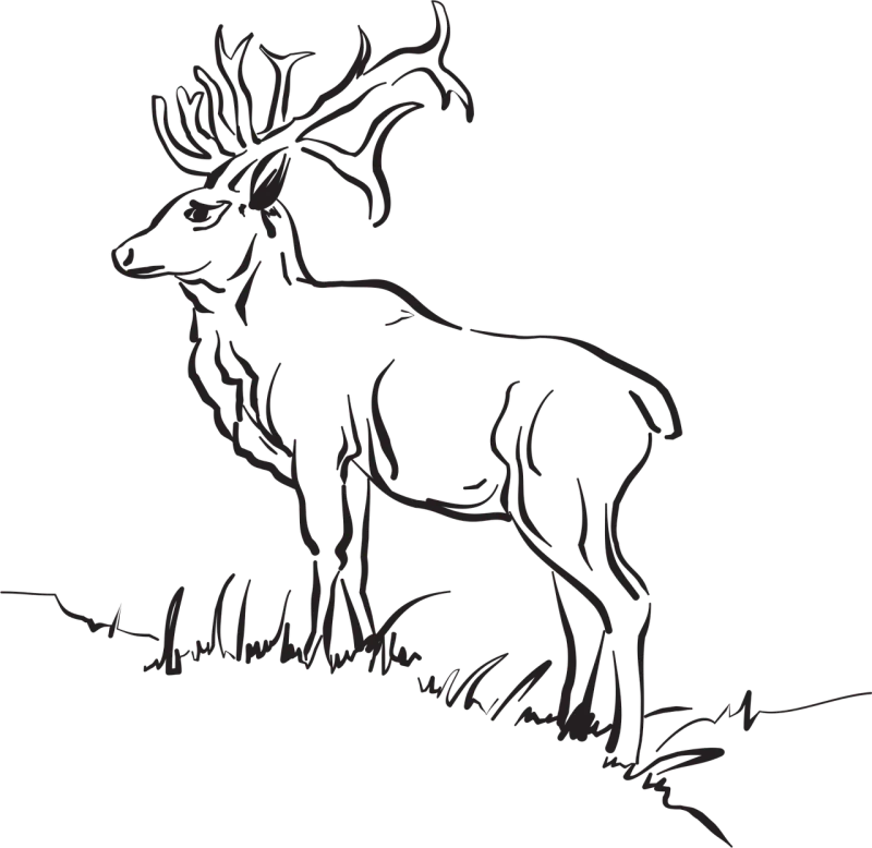 Deer Grass Nature Stickdatei – Tiere