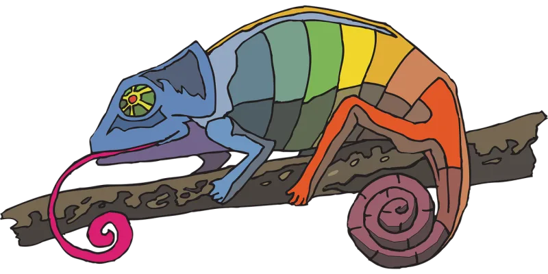 Branch Nature Rainbow Stickdatei – Kinder