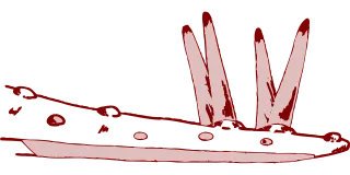 Part Body Dinosaur Stickdatei