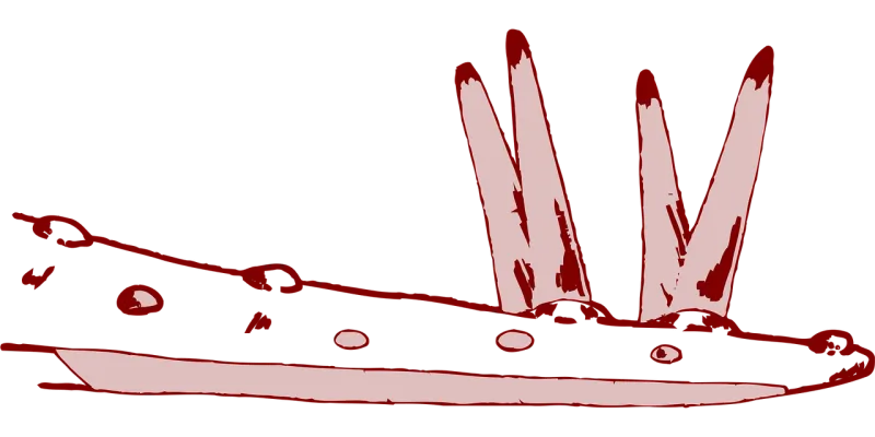 Part Body Dinosaur Stickdatei – Kinder