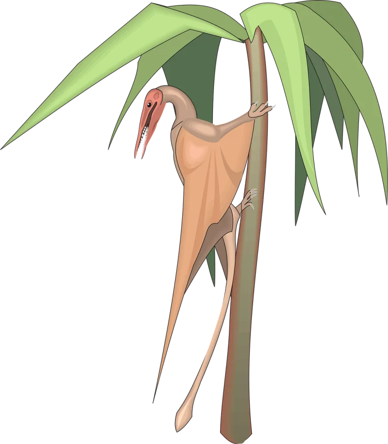 Tree Wings Dinosaur Stickdatei – Kinder