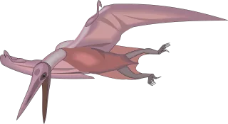 Bird Flying Wings Stickdatei