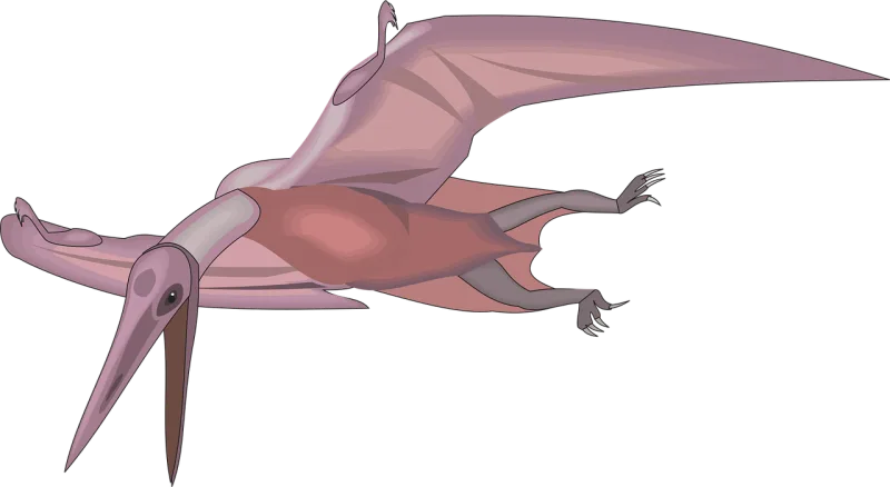 Bird Flying Wings Stickdatei – Kinder
