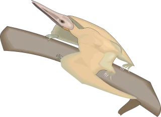 Bird Branch Wings Stickdatei