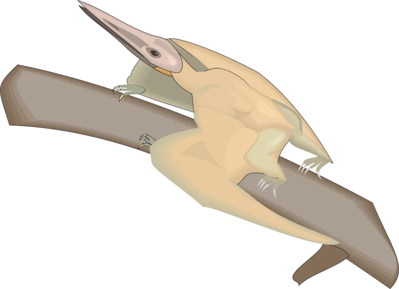 Bird Branch Wings Stickdatei – Kinder