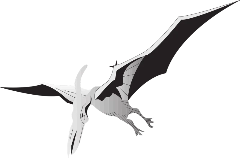 Bird Silver Wings Stickdatei – Kinder