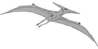 Gray Bird Nature Stickdatei