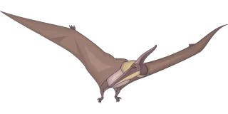 Bird Flying Wings Stickdatei