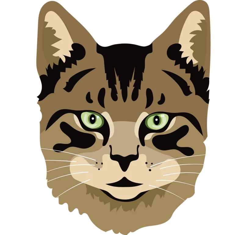 Cat Meow Kitten Stickdatei – Tiere