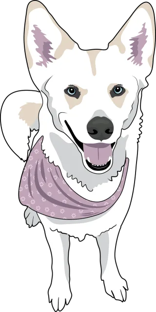 Dog White dog Puppy Stickdatei