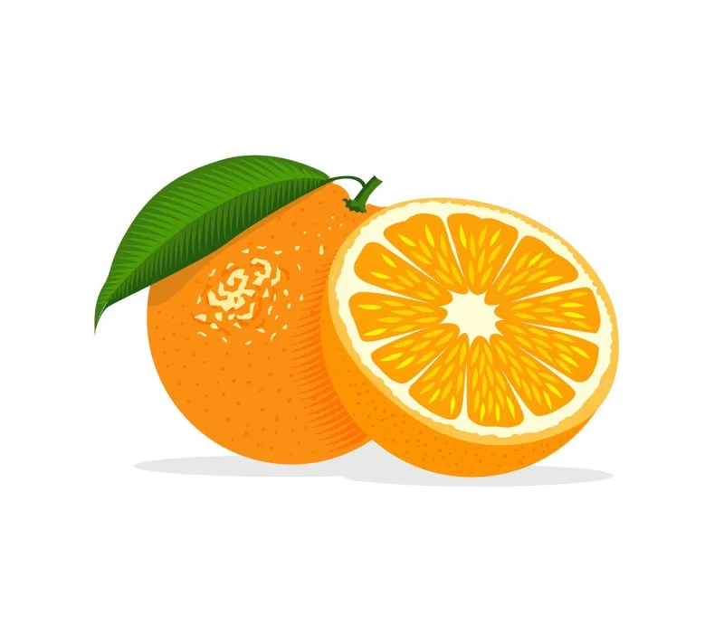 Orange Fruit Food Stickdatei – Natur
