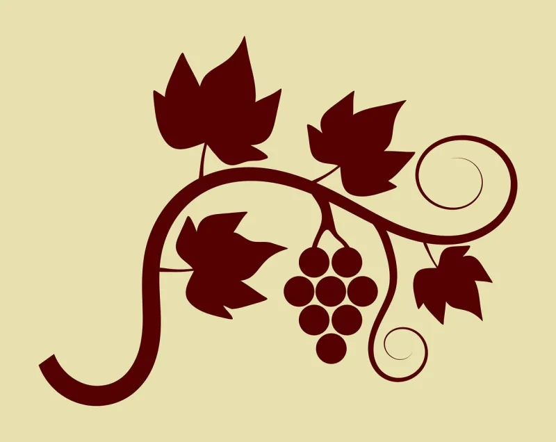 Illustration Vine Vector Stickdatei – Essen & Trinken