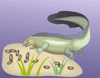 Sand Fish Swimming Stickdatei