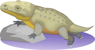 Water Rock Reptile Stickdatei