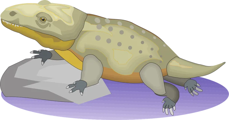 Water Rock Reptile Stickdatei – Kinder