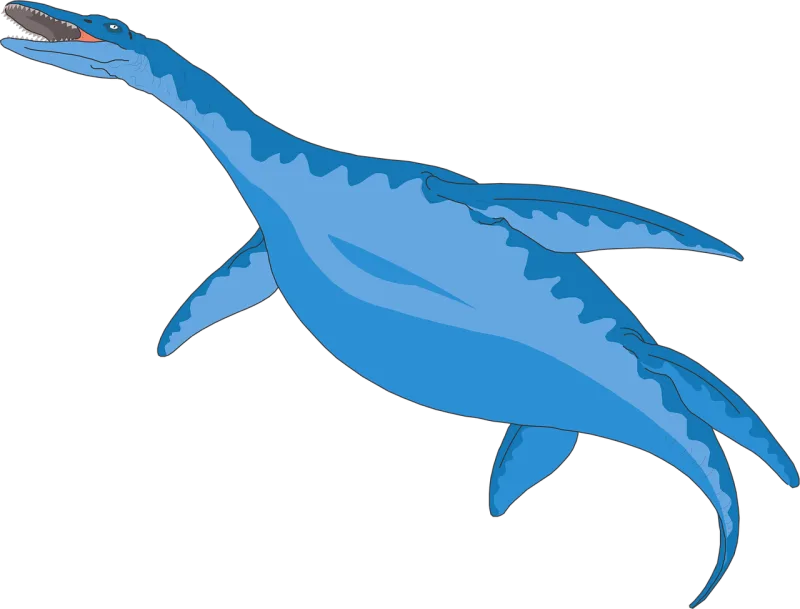 Blue Nature Fish Stickdatei – Sport