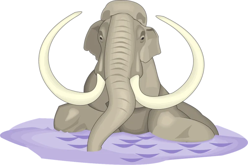 Water Elephant Nature Stickdatei – Tiere