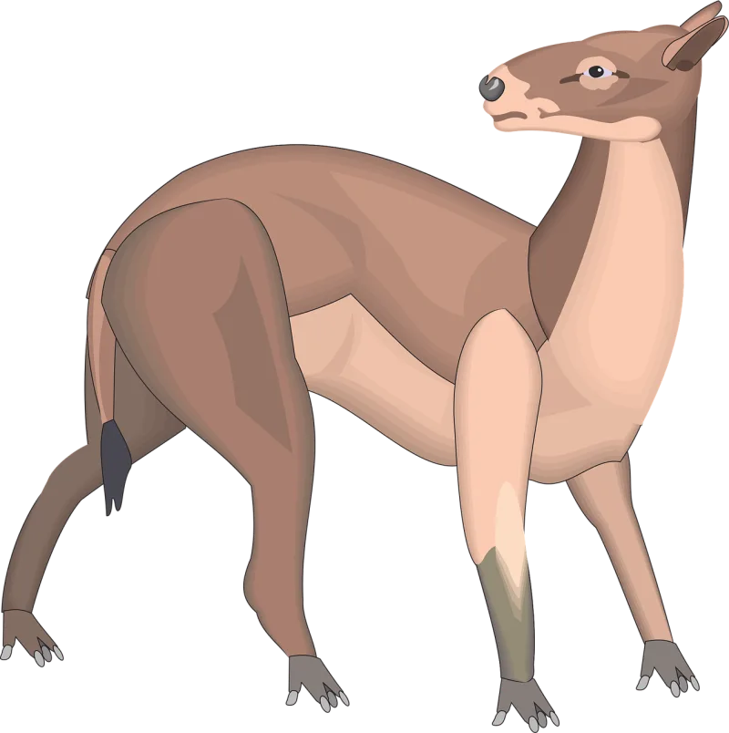Back Looking Animal Stickdatei – Tiere