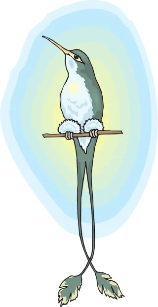 Sun Nature Bird Stickdatei