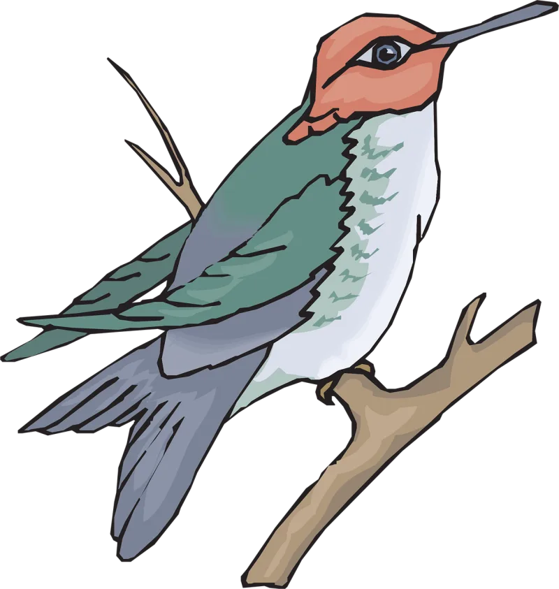 Bird Nature Branch Stickdatei – Natur