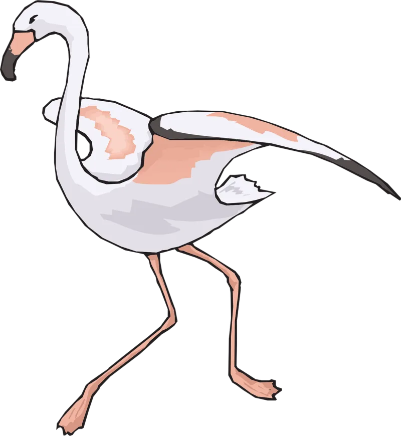 Bird Running Wings Stickdatei – Sport