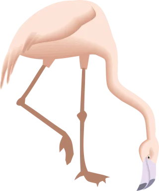 Flamingo Bending Down Stickdatei