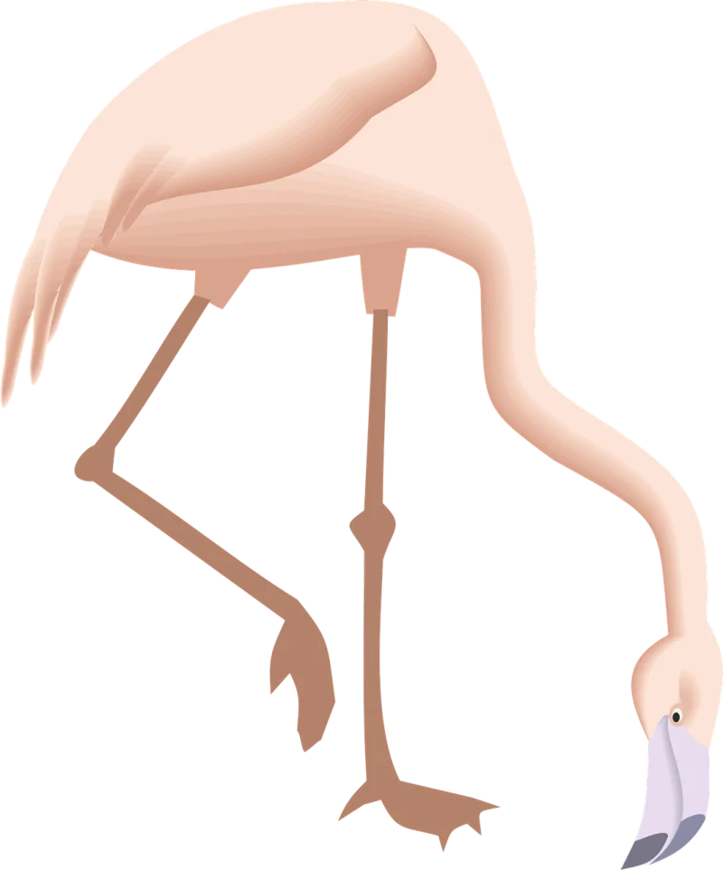 Flamingo Bending Down Stickdatei – Natur