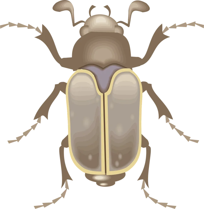 Top View Wings Stickdatei – Tiere