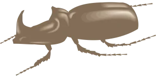 Brown View Side Stickdatei