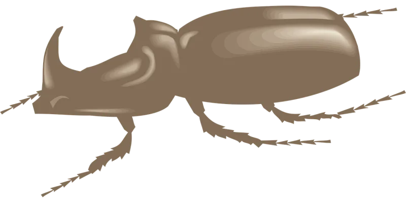 Brown View Side Stickdatei – Tiere