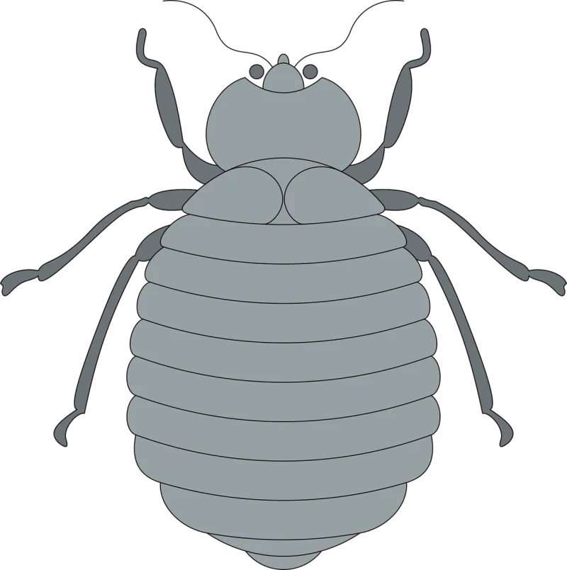 Gray Top View Stickdatei – Tiere