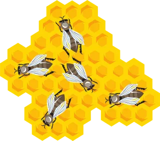 Bees Honeycomb Combs Stickdatei