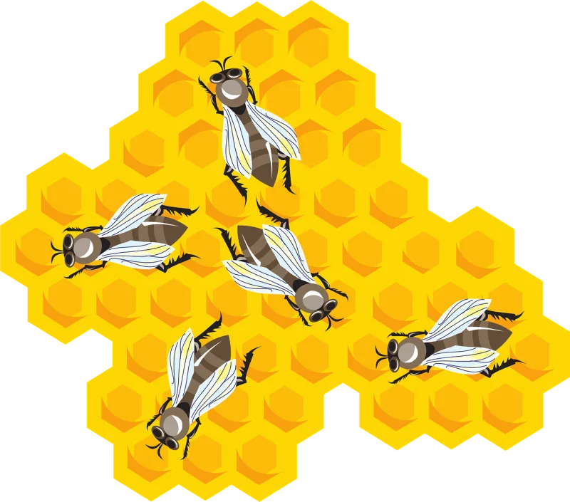 Bees Honeycomb Combs Stickdatei – Tiere