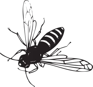 Bee Flying Stripes Stickdatei