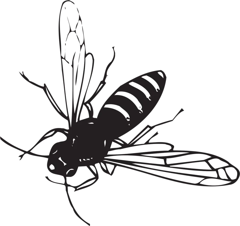 Bee Flying Stripes Stickdatei – Tiere