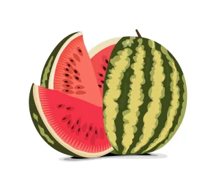 Watermelon Fruit Red Stickdatei