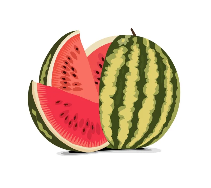 Watermelon Fruit Red Stickdatei – Essen & Trinken