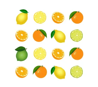 Citrus Fruit Vitamins Stickdatei – Essen & Trinken